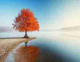 网‍站‌访​问‍慢‍ 是​什​么‌原﻿因‍导‌致​的​